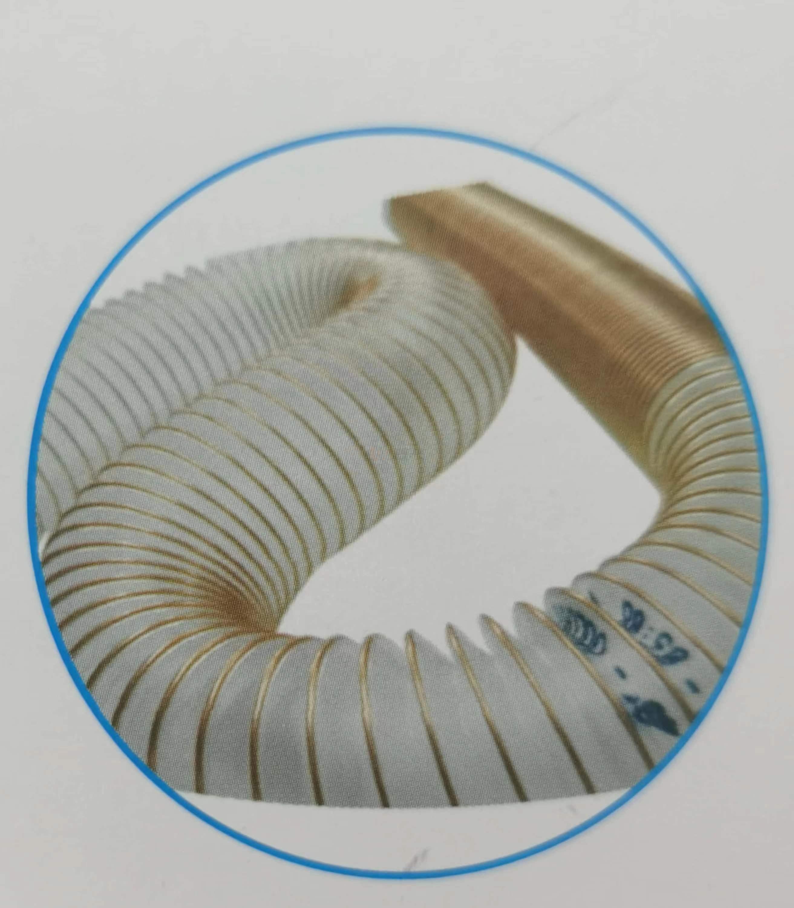 Translucent vacuum cleaner